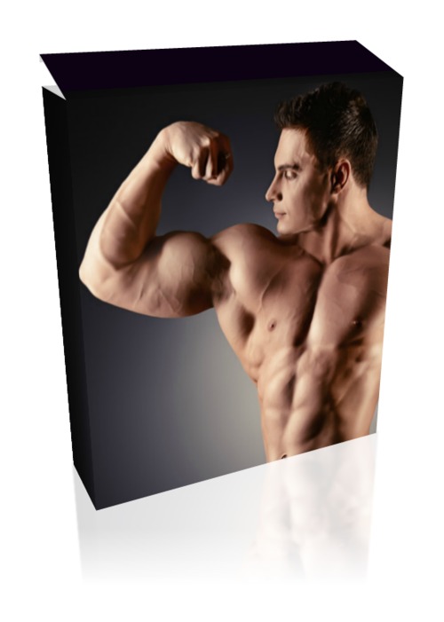 Product picture 769 PLR Fitness and Weight Loss Articles for your Blog